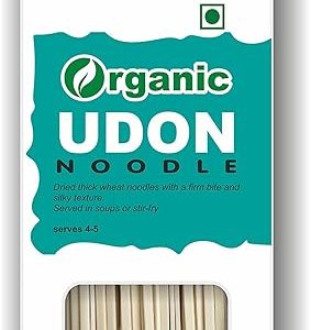 udon noodles